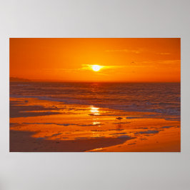 Poster Maçarico-grande na Praia ao Amanhecer, Flórida