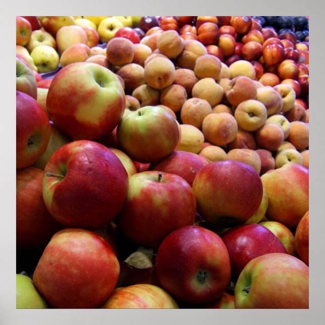 Poster Maçãs (Frente)