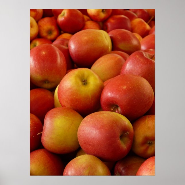 Poster Maçãs (Frente)
