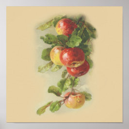 Poster Maçãs de coleção