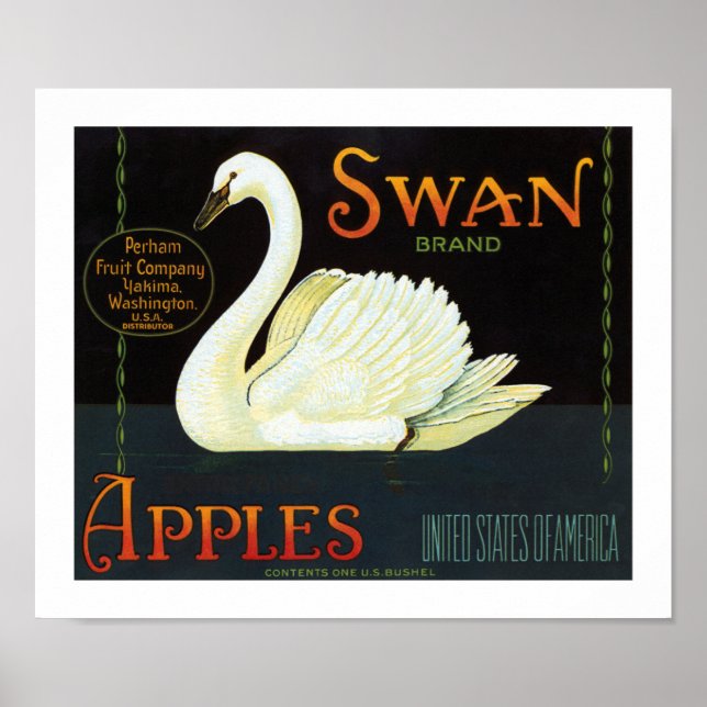 Póster Maçãs de Marca Swan (Frente)