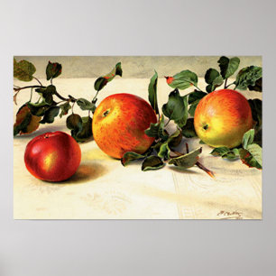 Póster Maçãs Lusciosas