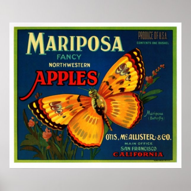Póster Maçãs Mariposa (Frente)