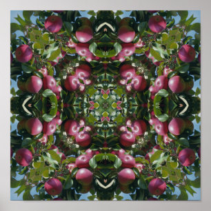 Poster Maçãs Vermelhas Na Árvore Arte Abstrata Da Naturez