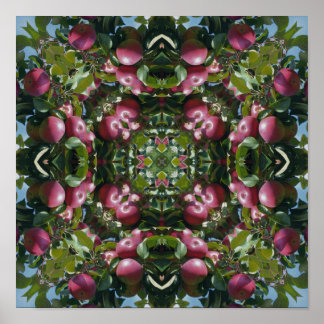 Poster Maçãs Vermelhas Na Árvore Arte Abstrata Da Naturez