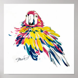 Póster Macaw