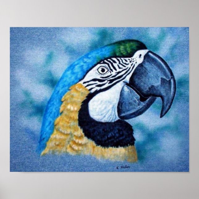 Poster Macaw (Frente)
