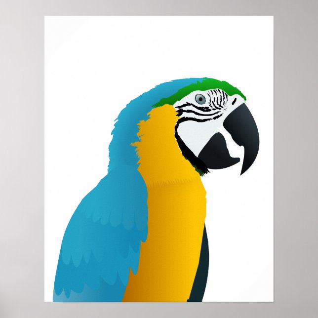 Poster Macaw azul e amarelo (Frente)