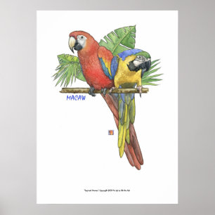Poster Macaws tropicais
