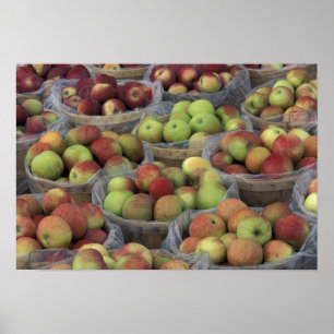 Póster Macintosh do Estado de Nova Iorque em cestos