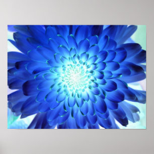 Poster Macro azul brilhante da flor. Negativo do amarelo