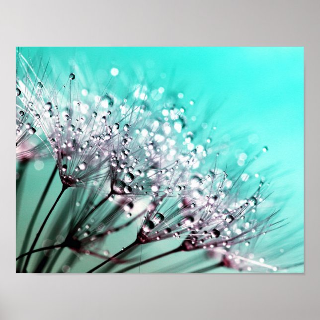 Póster Macro Dandelion Seeds Água Cai Foto (Frente)