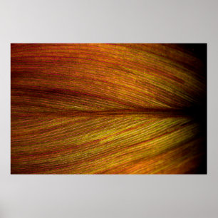 Poster Macro de textura de botânica de folha