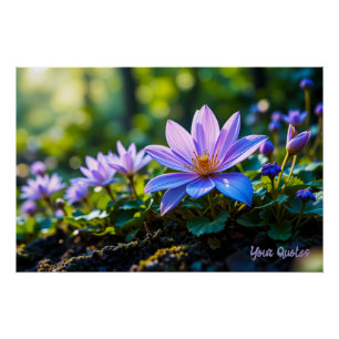 Póster Macro Flores Silvestres Roxas na Floresta com Orva