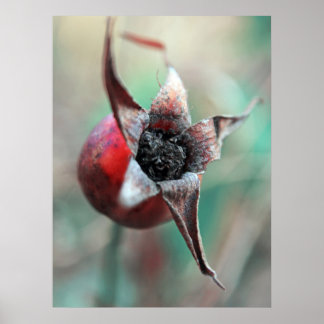 Poster Macro Hip do Rosa Elegante Moderno