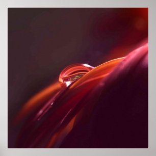 Poster Macro Red Petal