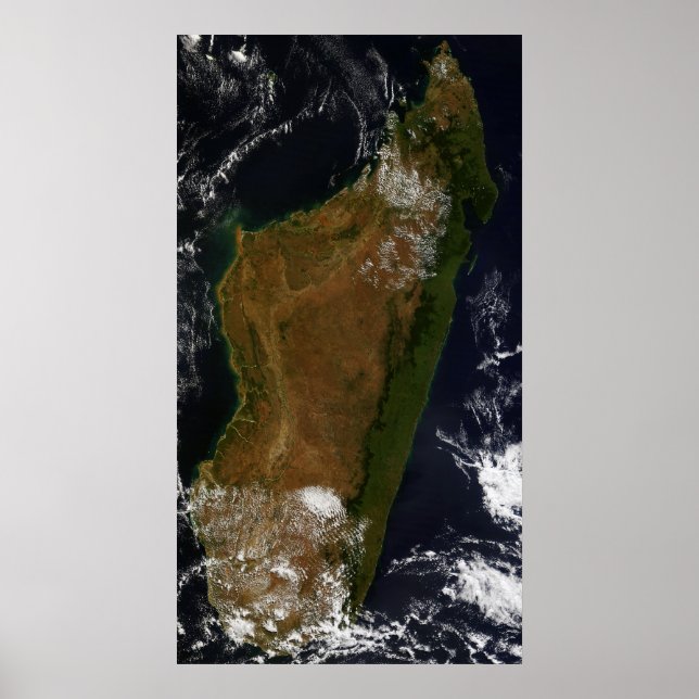 Póster Madagáscar (Frente)