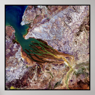 Póster Madagascar Jellyfish