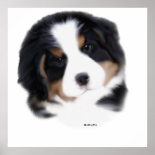 Póster MadDog's Baby Face Print