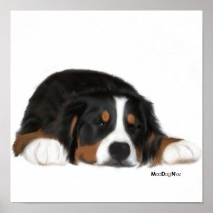 Póster MadDog's Sneak a Peek Print