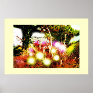 Poster Madeira assombrada