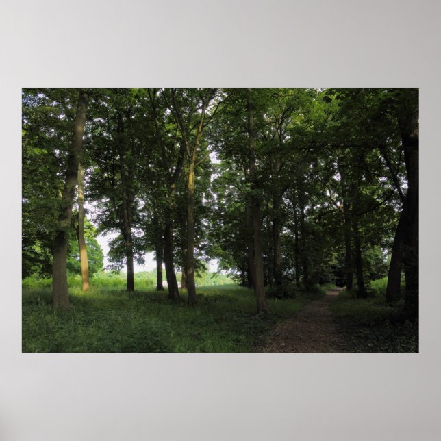 Poster Madeira, Bute Park Cardiff (Frente)