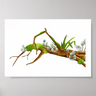 Poster Madeira derrubada