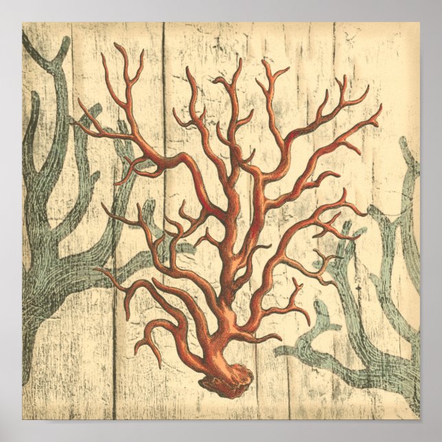 Poster Madeira e coral pequeno (Frente)