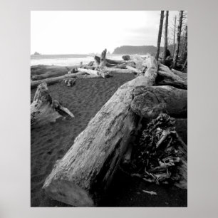 Poster madeira lançada costa 2 do bw