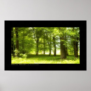 Póster Madeira prateada