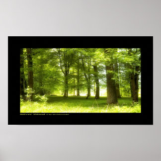 Póster Madeira prateada