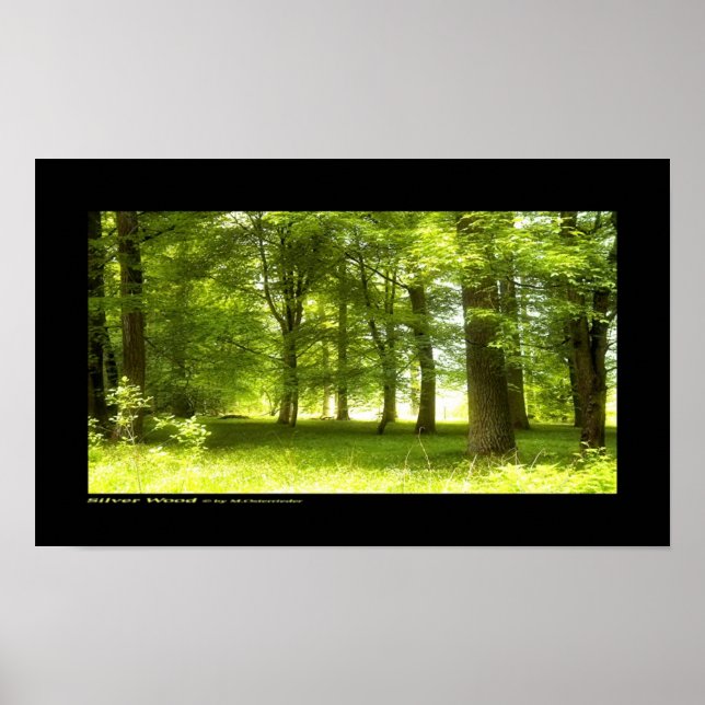 Póster Madeira prateada (Frente)