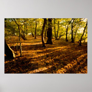 Poster Madeiras de Londres