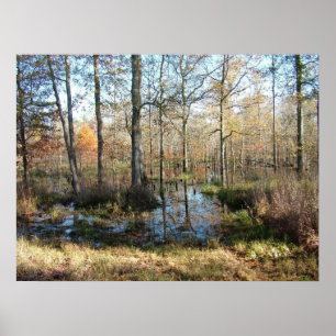 Póster Madeiras do outono