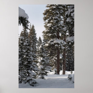Póster Madeiras nevado