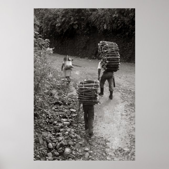 Póster Madeiras Transportadoras, Guatemala (Frente)