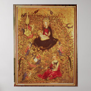 Poster Madonna com um Rosa Bush