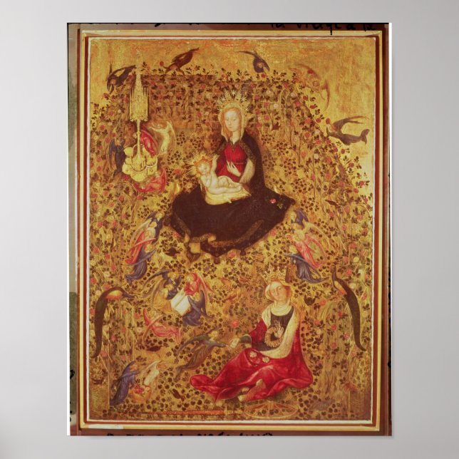 Poster Madonna com um Rosa Bush (Frente)