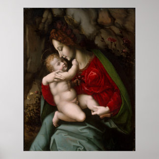 Poster Madonna e Criança - Bachiacca, d'Ubertino Verdi
