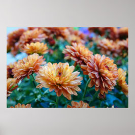 Poster Mãe a palavra!