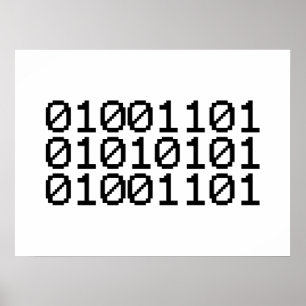 PÓSTER MÃE BINÁRIA