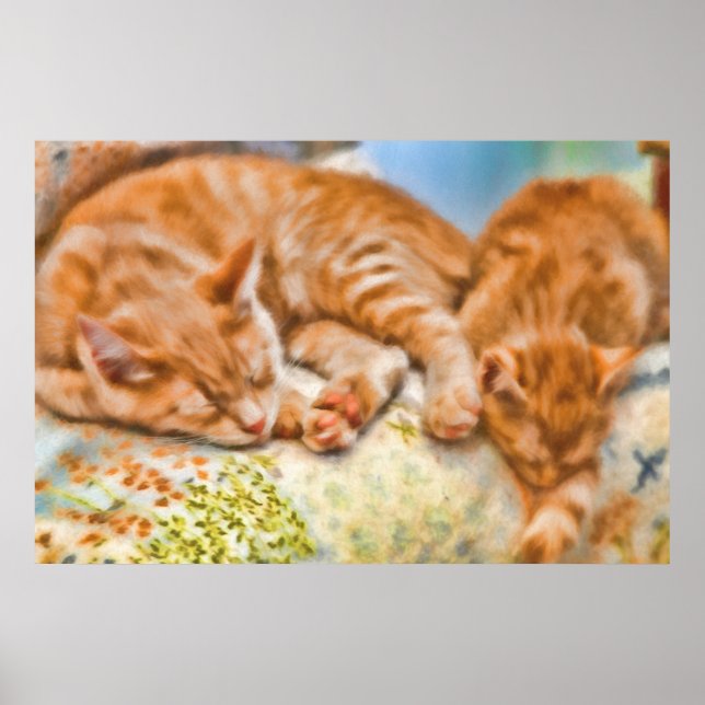 POSTER MÃE CAT KITTEN NAP (Frente)