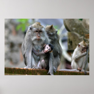 Poster Mãe & criança