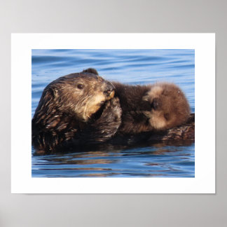 Poster Mãe de Lontra Marinha e Filhote Adorável