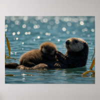 Mãe de lontra marinha e filhote flutuando em um oc