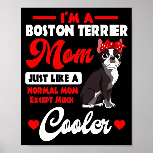 Poster mãe do Boston terrier cavalheiro americano do cão  (Frente)