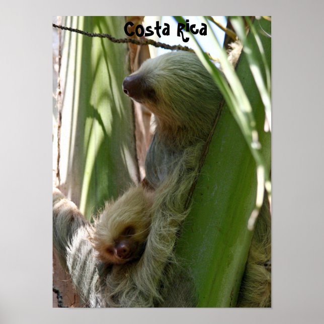 Póster Mãe e Bebê (Frente)