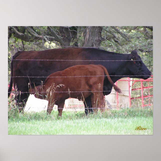 Póster Mãe e Filho (Frente)