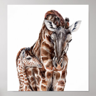Póster Mãe Girafa com Baby Giraffe