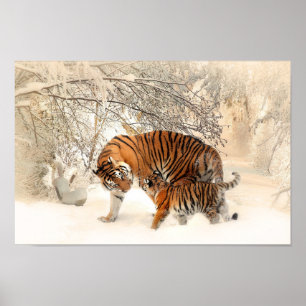 Poster Mãe linda Tigre com bebê em neve